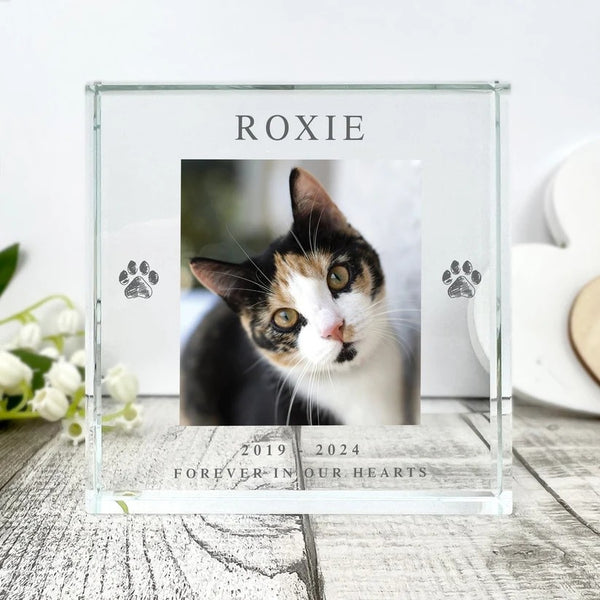 Personalised Pet Paw Prints Memorial Photo Upload Crystal Token