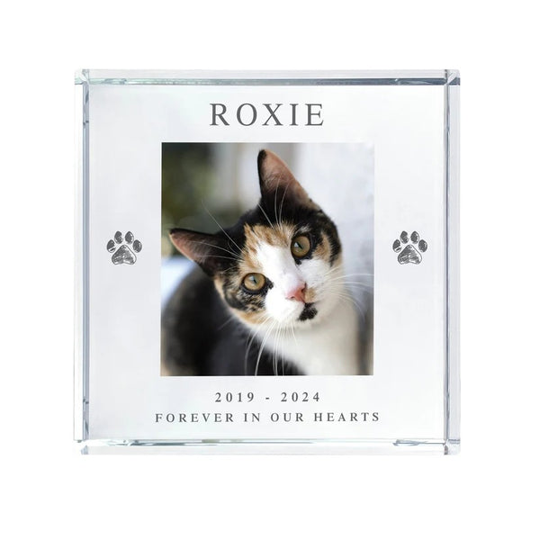 Personalised Pet Paw Prints Memorial Photo Upload Crystal Token