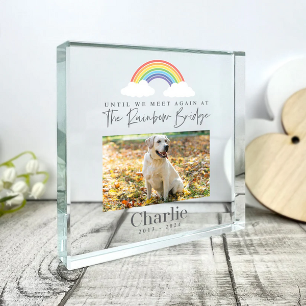Personalised Pet Until We Meet Again Photo Upload Crystal Token
