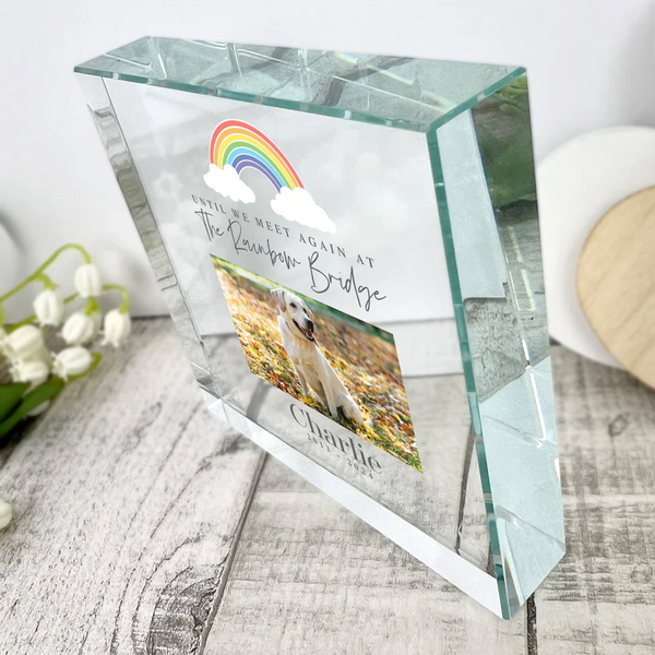 Personalised Pet Until We Meet Again Photo Upload Crystal Token
