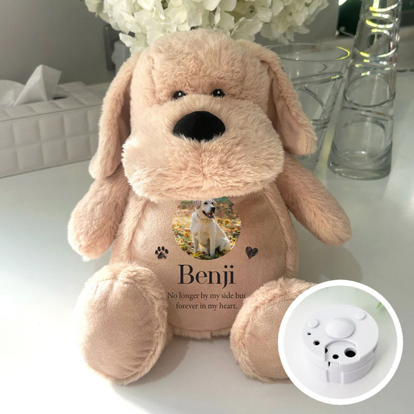 Personalised Paw Prints Heart Voice Record Photo Upload Memorial Dog