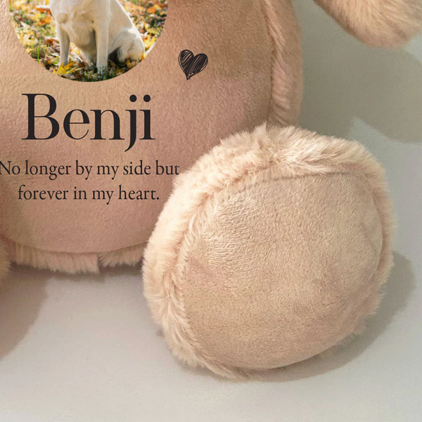 Personalised Paw Prints Heart Voice Record Photo Upload Memorial Dog