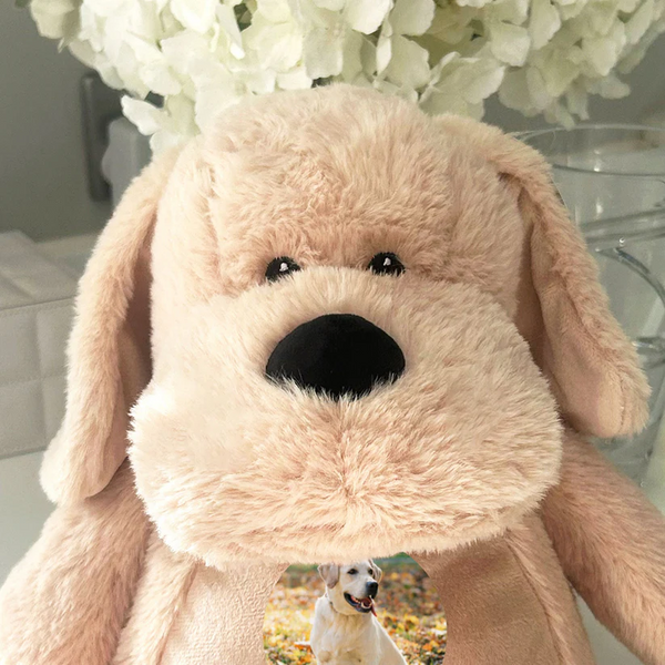 Personalised Paw Prints Heart Comfort Photo Upload Memorial Dog