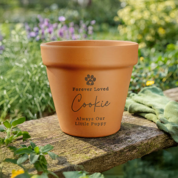 Personalised Pet Memorial Terracotta Plant Pot