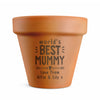 Personalised Worlds Best Terracotta Plant Pot