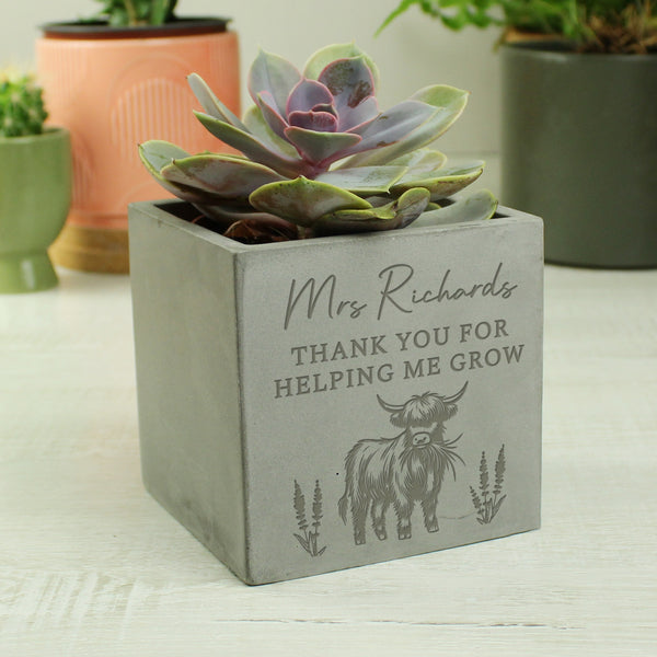 Personalised Highland Cow Concrete Plant Pot