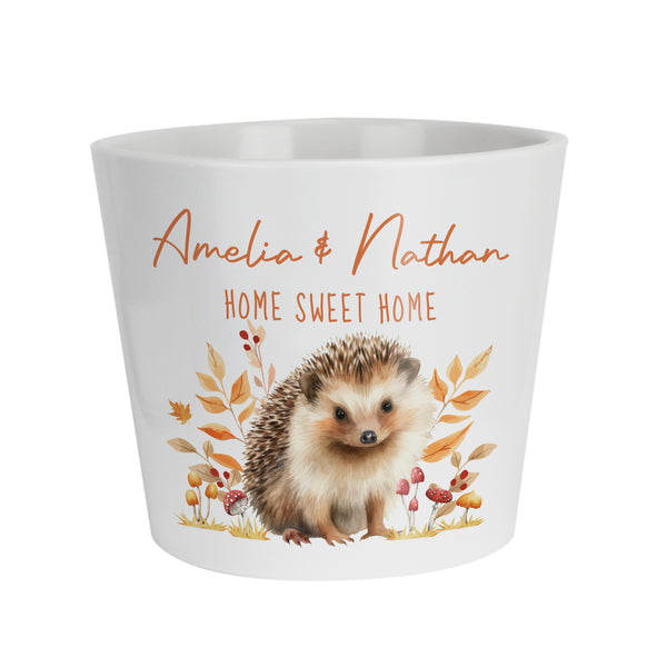 Personalised Hedgehog Large Autumn Ceramic Plant Pot
