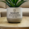 Personalised Pet Memorial Flecked Ceramic Indoor Plant Pot