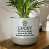 Personalised Pet Memorial Flecked Ceramic Indoor Plant Pot