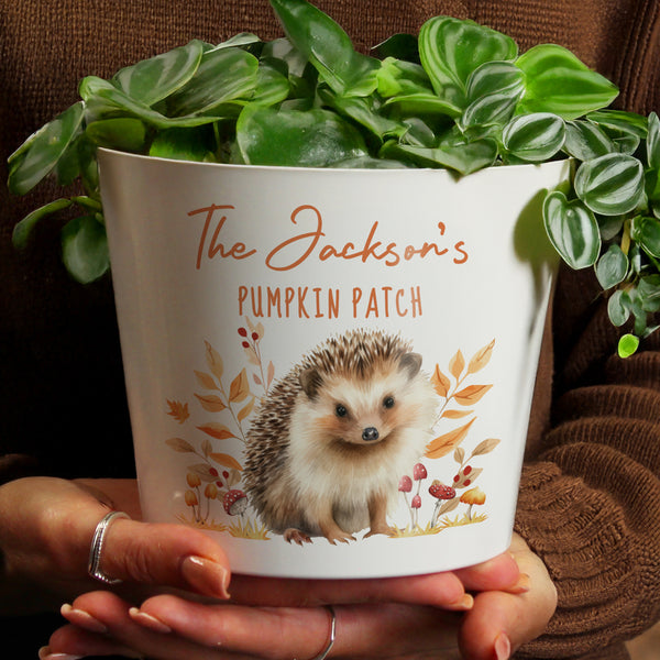 Personalised Hedgehog Large Indoor Autumn Ceramic Plant Pot
