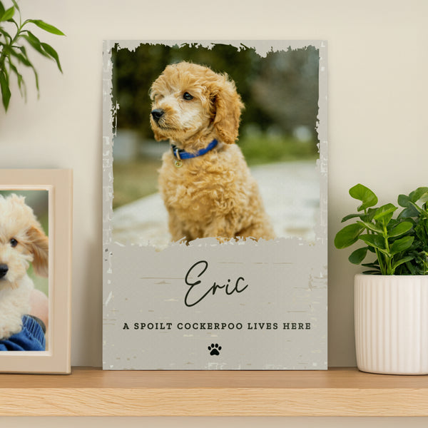 Personalised Photo Upload Pet Aluminium Sign
