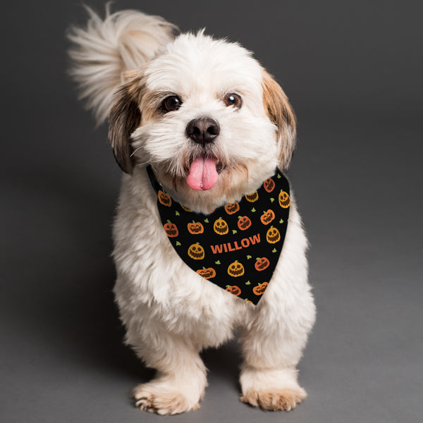 Personalised Halloween Pumpkin Patch Dog Bandana