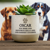 Personalised Pet Memorial Flecked Ceramic Indoor Plant Pot