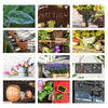 Personalised Gardening Desk Calendar - Shop Personalised Gifts