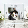 Personalised Pet Paw Prints Memorial Photo Upload Crystal Token