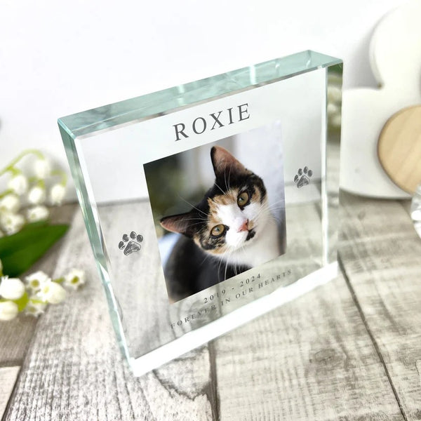 Personalised Pet Paw Prints Memorial Photo Upload Crystal Token
