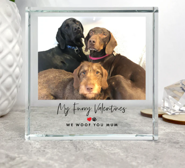 Personalised Pet Heart & Paw Photo Upload Crystal Token