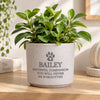 Personalised Pet Memorial Flecked Ceramic Indoor Plant Pot