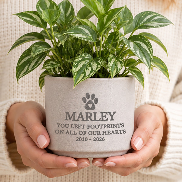 Personalised Pet Memorial Flecked Ceramic Indoor Plant Pot
