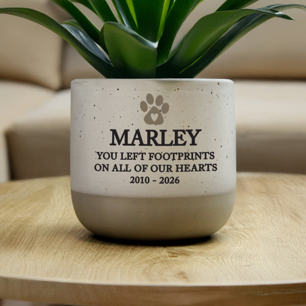 Personalised Pet Memorial Flecked Ceramic Indoor Plant Pot