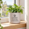 Personalised Pet Memorial Flecked Ceramic Indoor Plant Pot