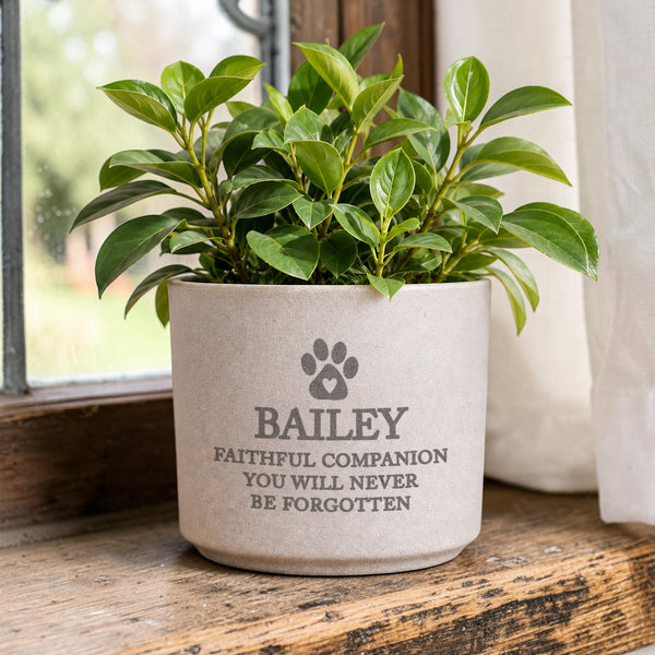 Personalised Pet Memorial Flecked Ceramic Indoor Plant Pot
