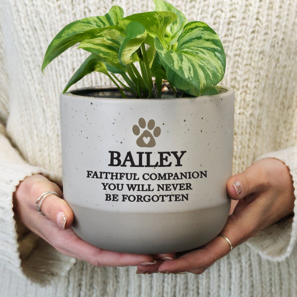 Personalised Pet Memorial Flecked Ceramic Indoor Plant Pot