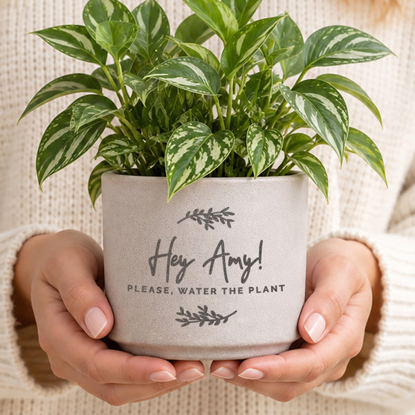 Personalised Botanical Flecked Ceramic Indoor Plant Pot
