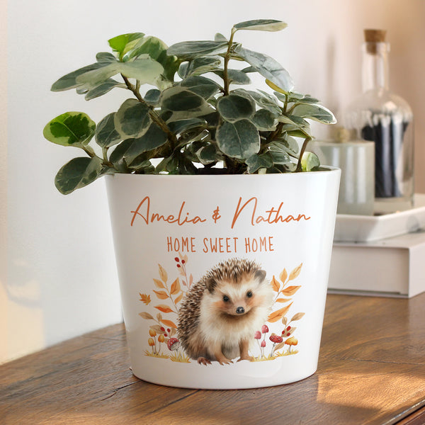 Personalised Hedgehog Large Indoor Autumn Ceramic Plant Pot
