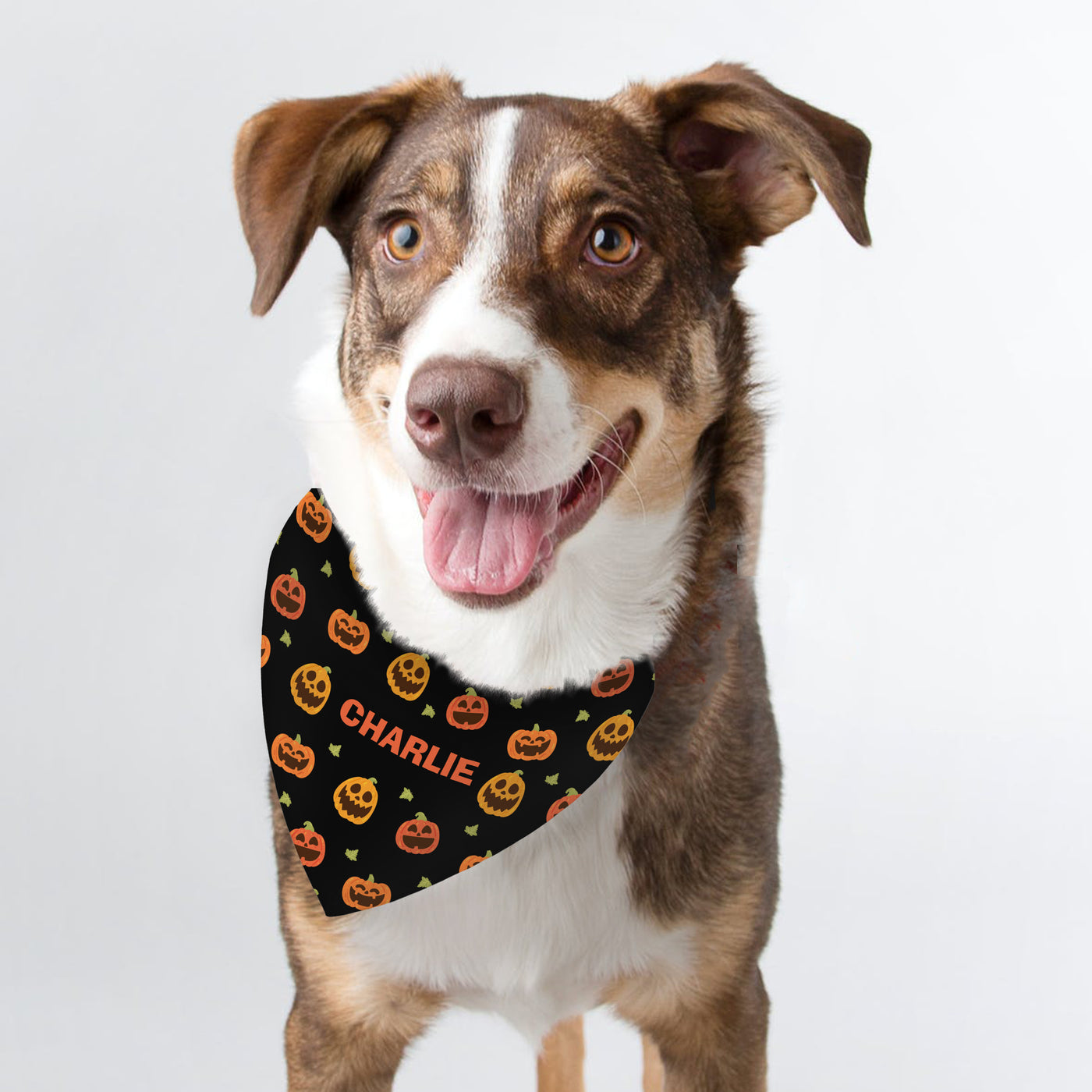 Personalised Halloween Pumpkin Patch Dog Bandana