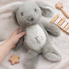 Personalised Spring Bunny