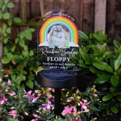 Personalised Rainbow Bridge Pet Photo Upload Memorial Outdoor Solar Light