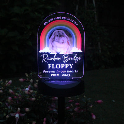 Personalised Rainbow Bridge Pet Photo Upload Memorial Outdoor Solar Light