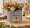 Personalised Pumpkin Indoor Concrete Plant Pot