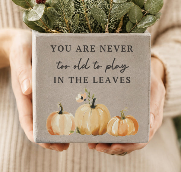 Personalised Pumpkin Indoor Concrete Plant Pot