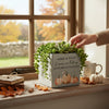 Personalised Pumpkin Indoor Concrete Plant Pot