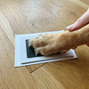 Personalised Complete Puppy-Kitten First Keepsake Kit