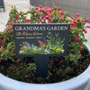 Personalised Little Helpers Welcome Garden Slate Marker Sign