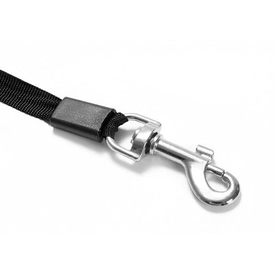 Personalised Photo Upload Dog Lead