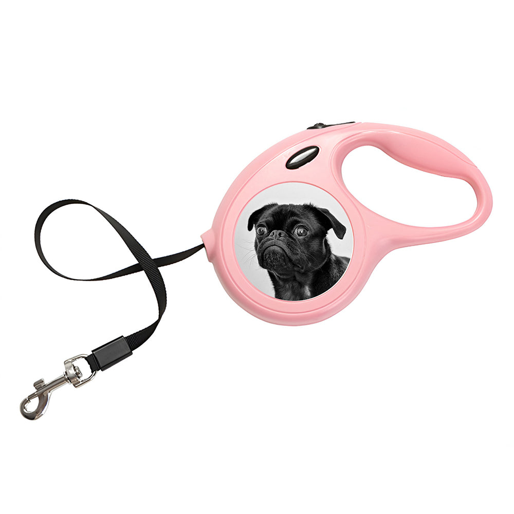 Personalised Photo Upload Dog Lead