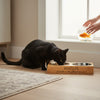 Personalised Bamboo Pet Bowl Set
