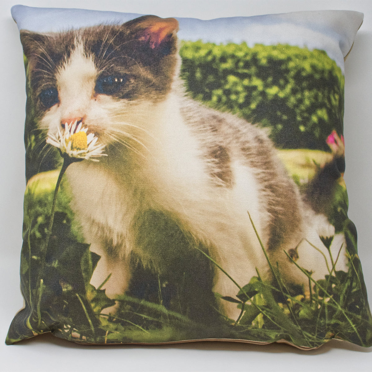 Organic Cotton Personalised Photo Upload Cushion.