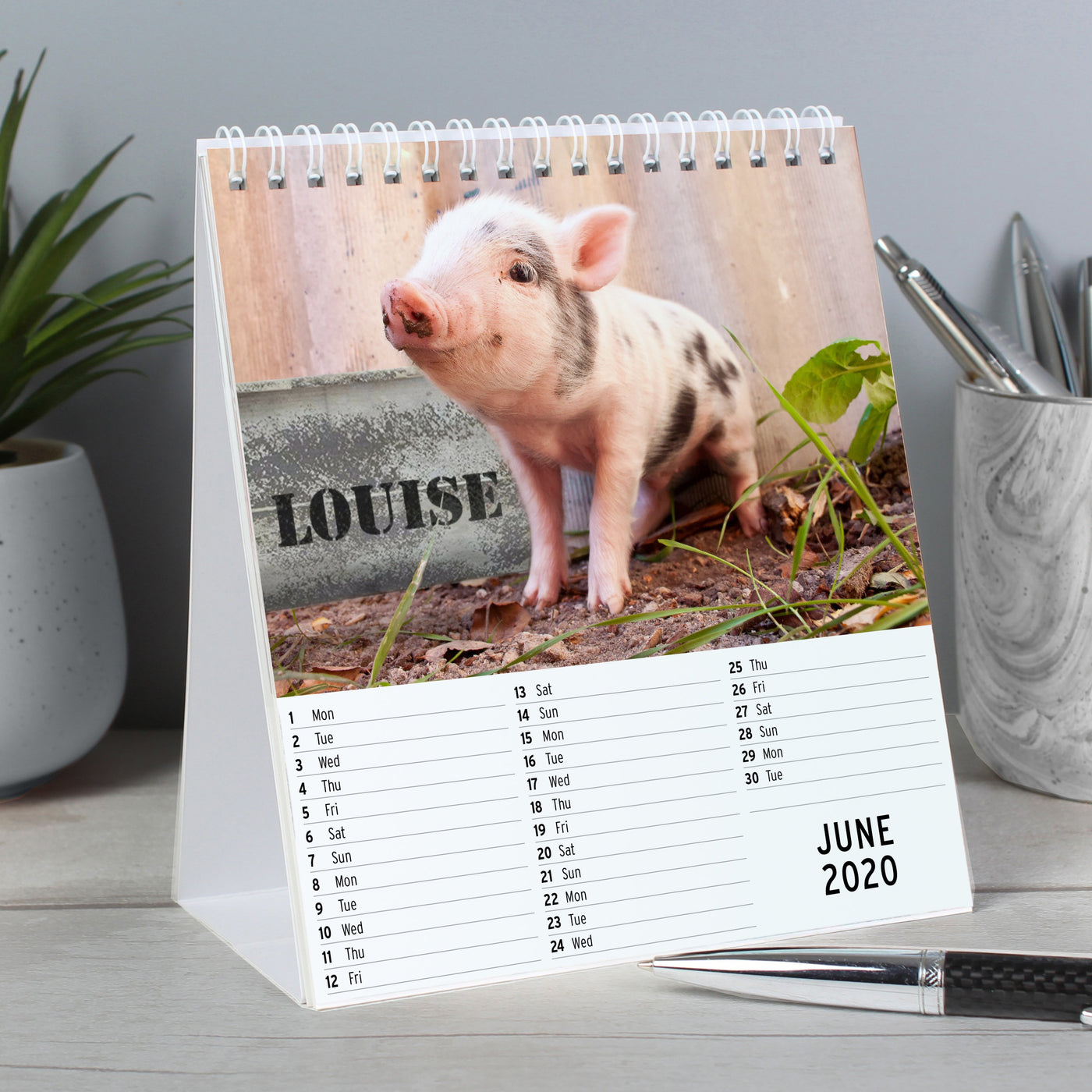 Personalised Cute Animals Desk Calendar - Shop Personalised Gifts