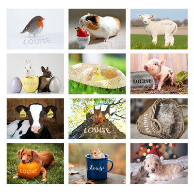 Personalised Cute Animals Desk Calendar - Shop Personalised Gifts