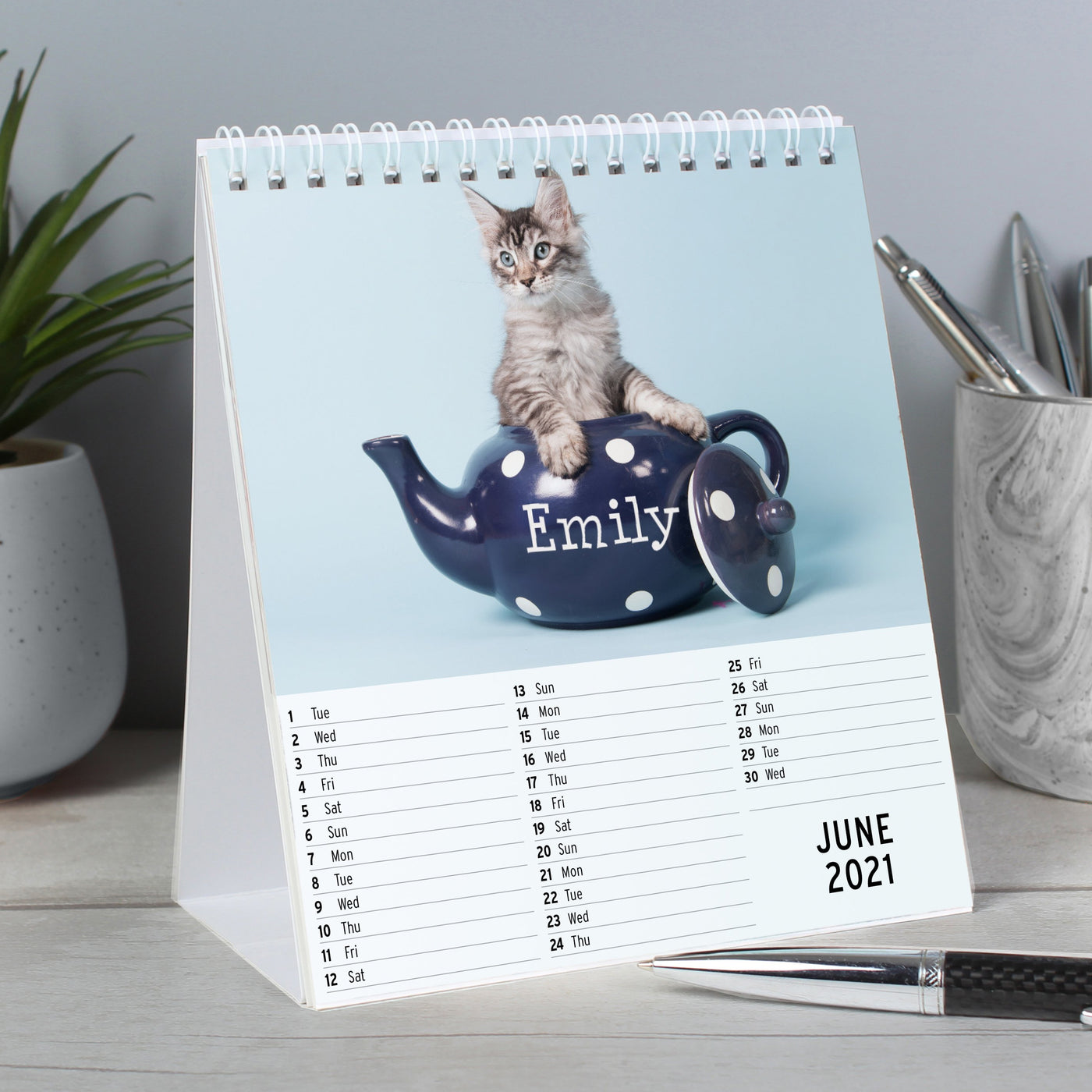 Personalised Cats and Kittens Desk Calendar - Shop Personalised Gifts