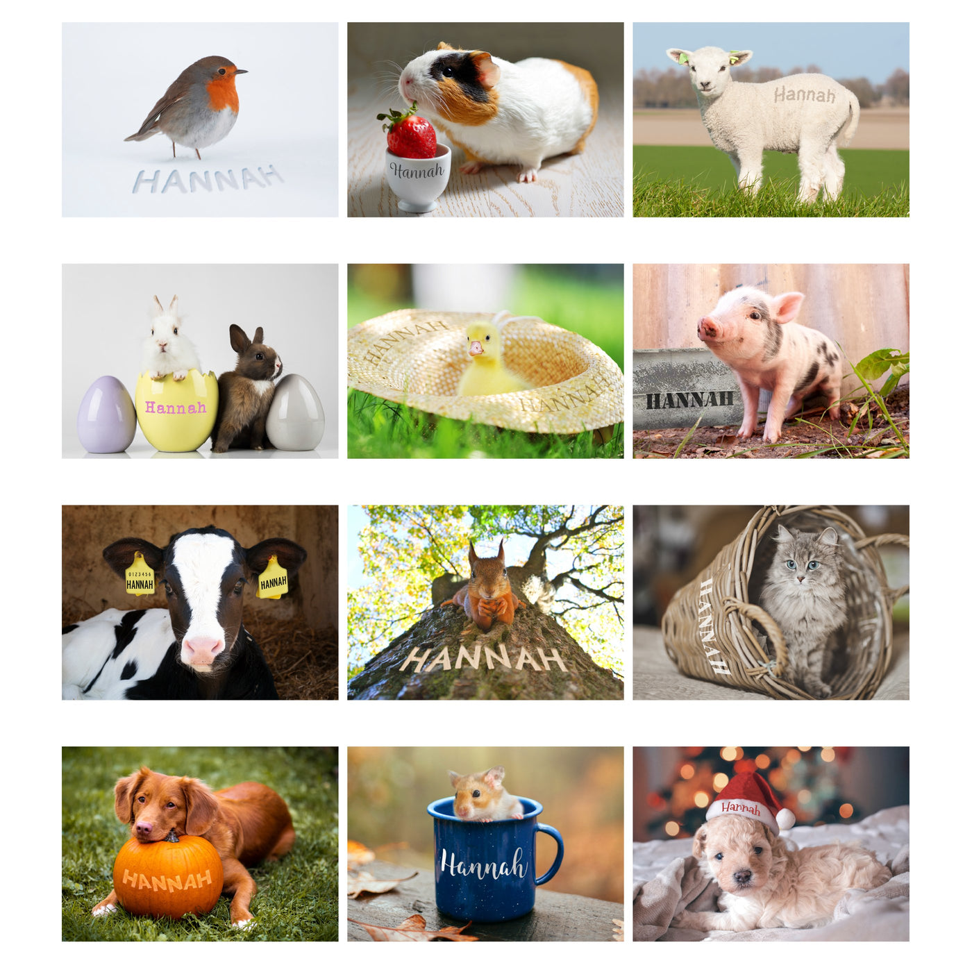 Personalised A4 Cute Animals Calendar - Shop Personalised Gifts