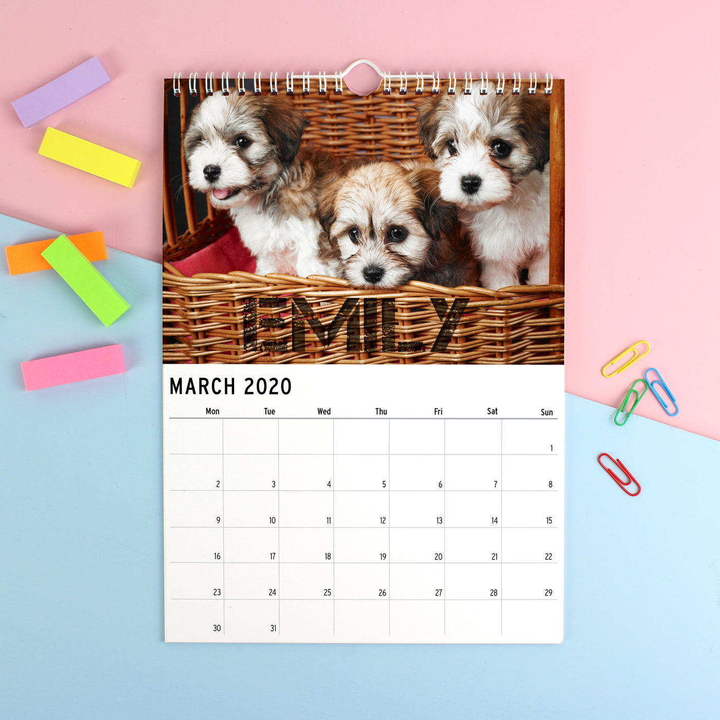 Personalised A4 Barking Mad Calendar - Shop Personalised Gifts