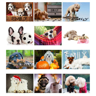 Personalised A4 Barking Mad Calendar - Shop Personalised Gifts