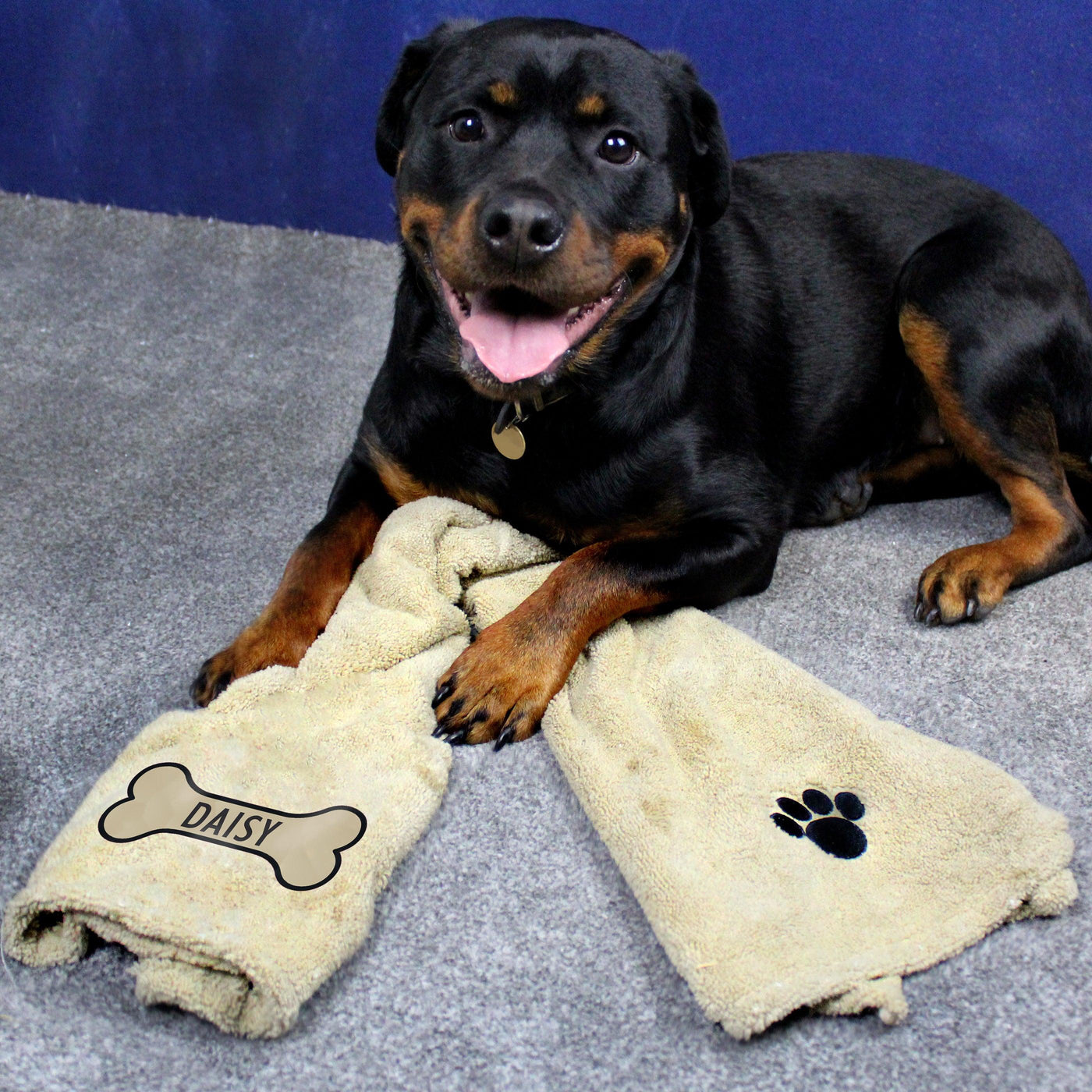 Personalised Bone Brown Microfiber Pet Towel - Shop Personalised Gifts