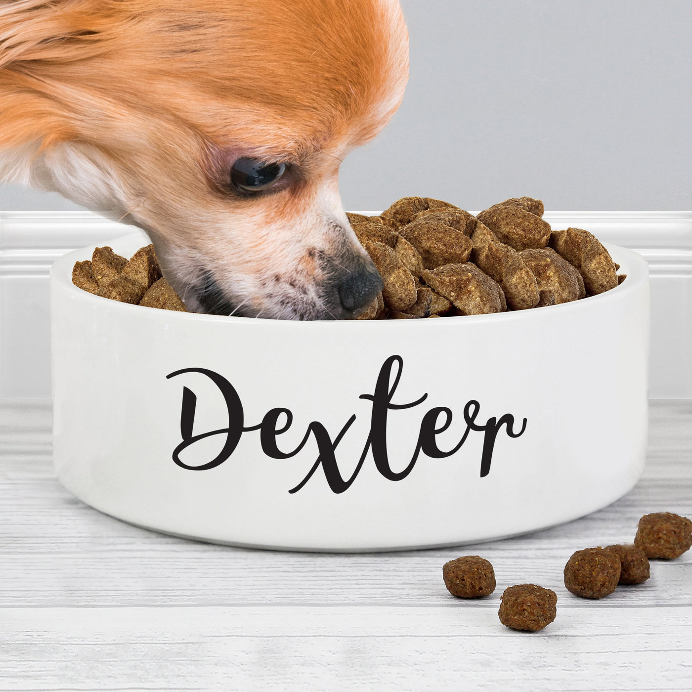 Personalised Any Name 14cm Medium White Pet Bowl - Shop Personalised Gifts